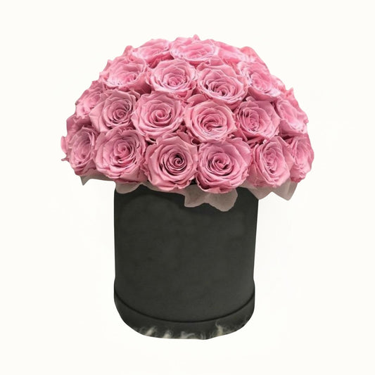 Pink roses in a black box on a white background
