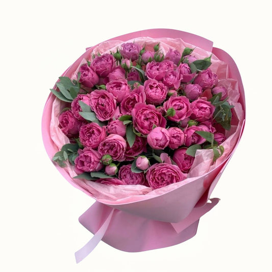 Bouquet of pink roses wrapped in pink paper on a white background