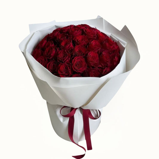 Bouquet of red roses wrapped in white paper with a red ribbon on a white background