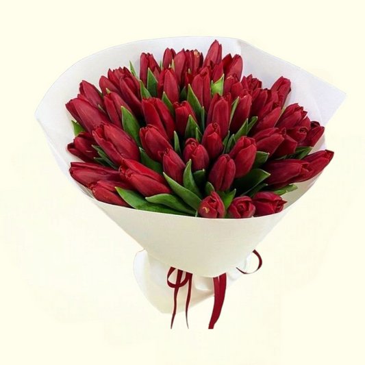 Red Tulip