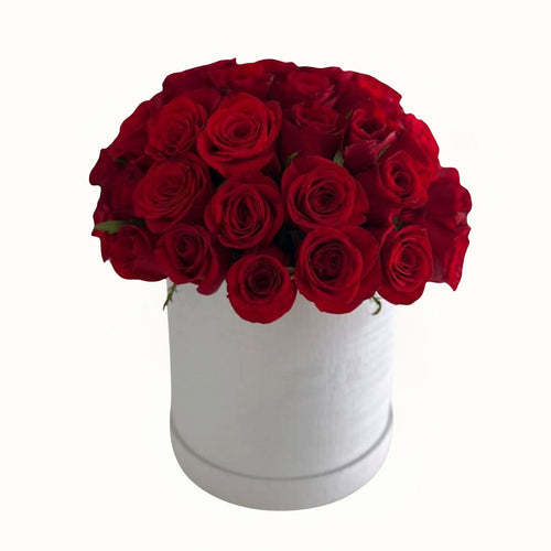 White box filled with red roses on a white background