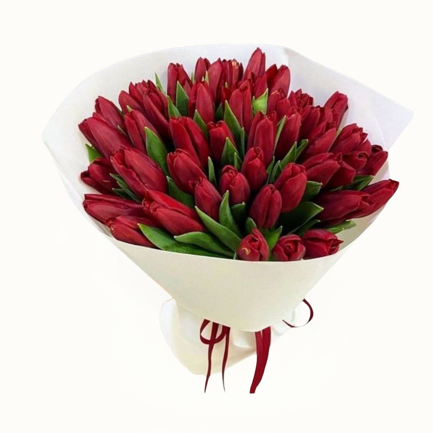 Bouquet of red tulips wrapped in white paper with a red ribbon on a white background
