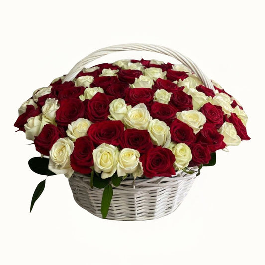 Basket of red and white roses on a white background