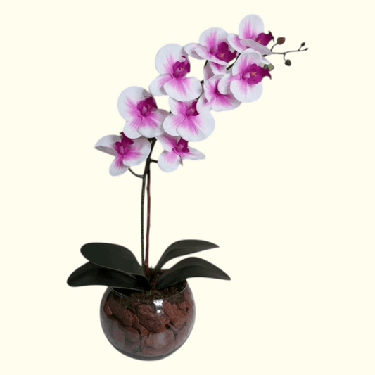 Single Purple Orchid