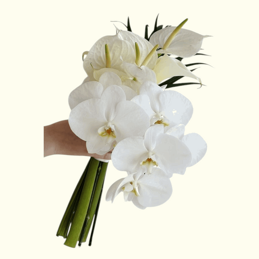 Bloom Day