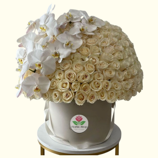 White Snow Roses in Dubai